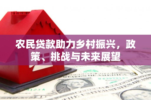丰顺农民贷款助力乡村振兴，政策、挑战与未来展望