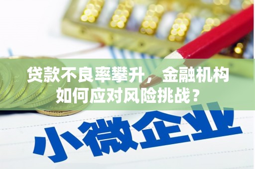 丰顺贷款不良率攀升，金融机构如何应对风险挑战？