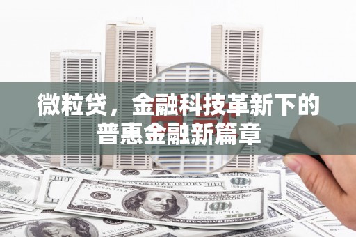 丰顺微粒贷，金融科技革新下的普惠金融新篇章
