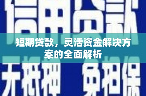 丰顺短期贷款，灵活资金解决方案的全面解析