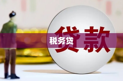 丰顺税务贷