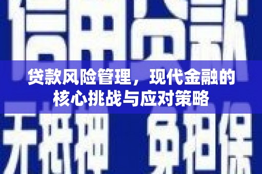 丰顺贷款风险管理，现代金融的核心挑战与应对策略