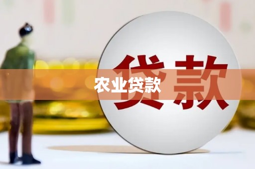 丰顺农业贷款