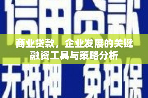 丰顺商业贷款，企业发展的关键融资工具与策略分析