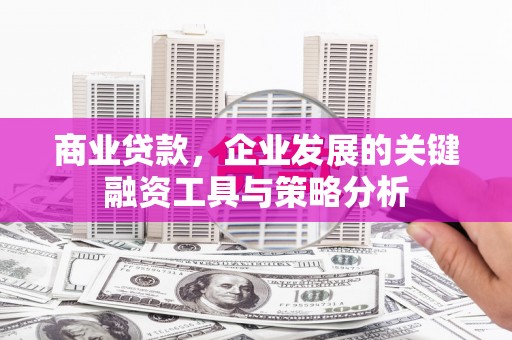 丰顺商业贷款，企业发展的关键融资工具与策略分析
