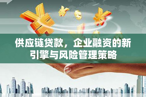 丰顺供应链贷款，企业融资的新引擎与风险管理策略