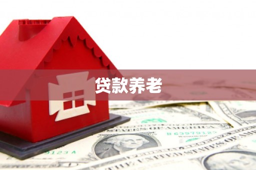 丰顺贷款养老