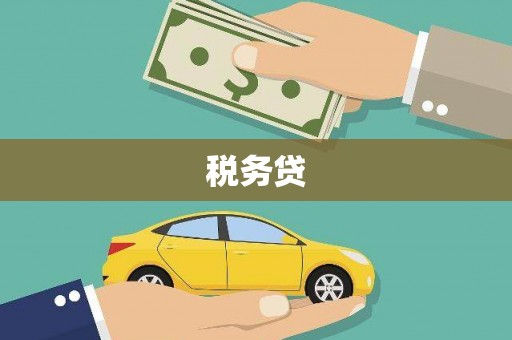 丰顺税务贷