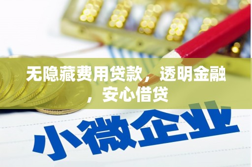 丰顺无隐藏费用贷款，透明金融，安心借贷