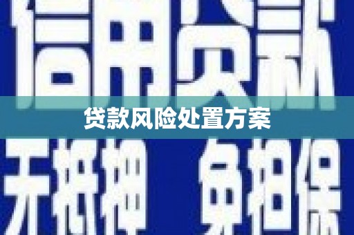 丰顺贷款风险处置方案