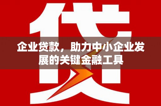 丰顺企业贷款，助力中小企业发展的关键金融工具