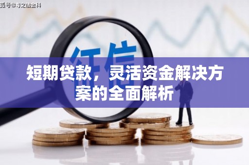 丰顺短期贷款，灵活资金解决方案的全面解析
