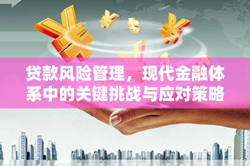 丰顺贷款风险管理，现代金融体系中的关键挑战与应对策略