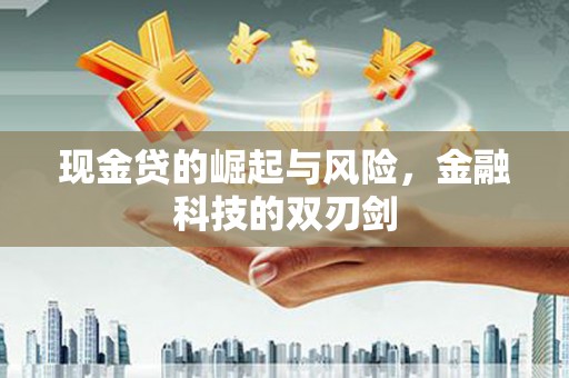丰顺现金贷的崛起与风险，金融科技的双刃剑