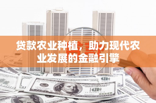 丰顺贷款农业种植，助力现代农业发展的金融引擎