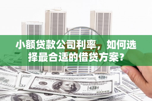 丰顺小额贷款公司利率，如何选择最合适的借贷方案？