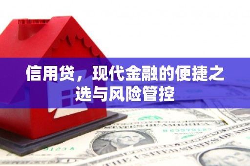 丰顺信用贷，现代金融的便捷之选与风险管控