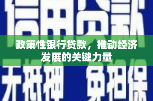 丰顺政策性银行贷款，推动经济发展的关键力量