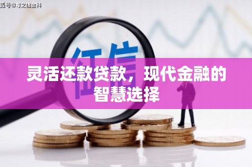 丰顺灵活还款贷款，现代金融的智慧选择