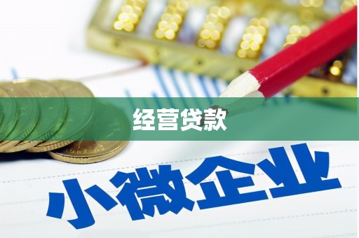 丰顺经营贷款