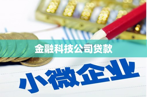 丰顺金融科技公司贷款