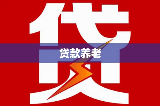 丰顺贷款养老