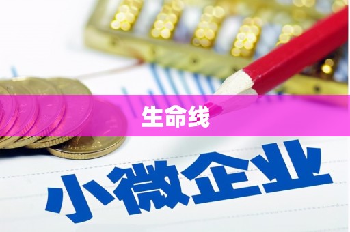 丰顺生命线