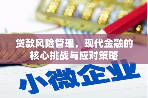 丰顺贷款风险管理，现代金融的核心挑战与应对策略