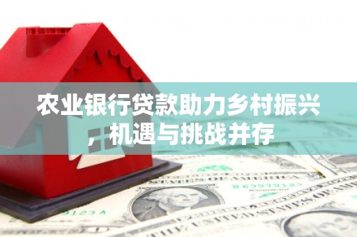 丰顺农业银行贷款助力乡村振兴，机遇与挑战并存
