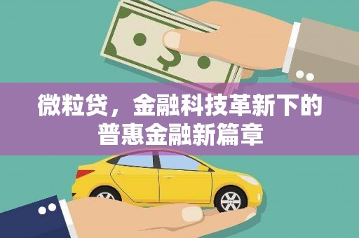 丰顺微粒贷，金融科技革新下的普惠金融新篇章
