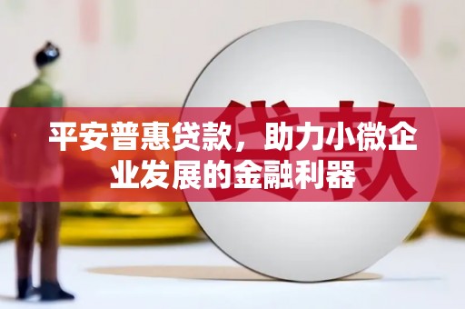 丰顺平安普惠贷款，助力小微企业发展的金融利器