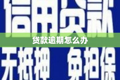 丰顺贷款逾期怎么办