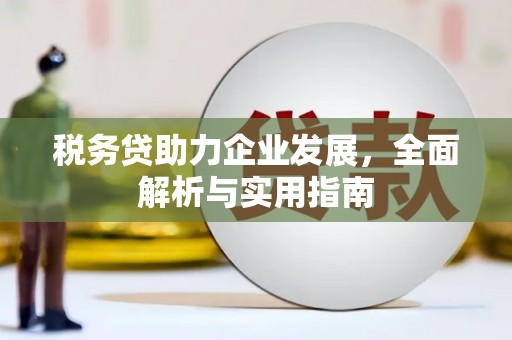 丰顺税务贷助力企业发展，全面解析与实用指南