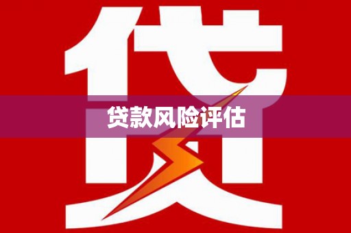 丰顺贷款风险评估