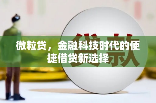 丰顺微粒贷，金融科技时代的便捷借贷新选择