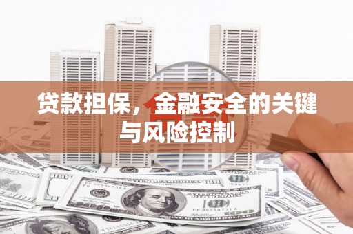 丰顺贷款担保，金融安全的关键与风险控制