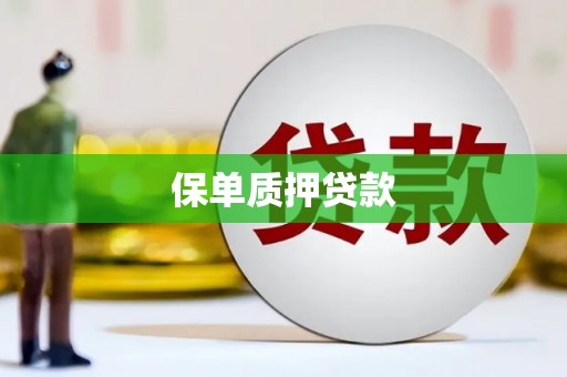 丰顺保单质押贷款