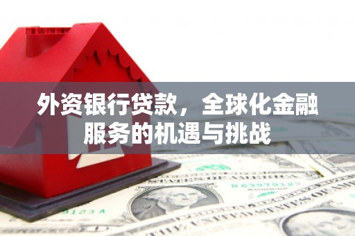 丰顺外资银行贷款，全球化金融服务的机遇与挑战