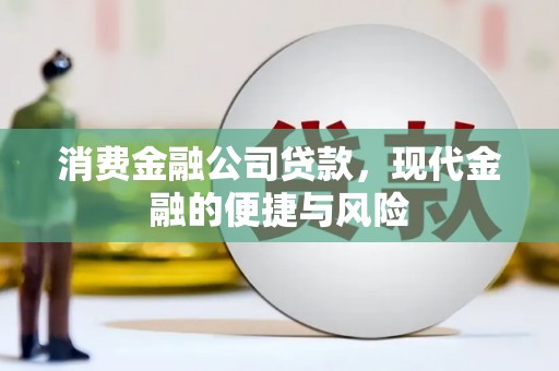 丰顺消费金融公司贷款，现代金融的便捷与风险