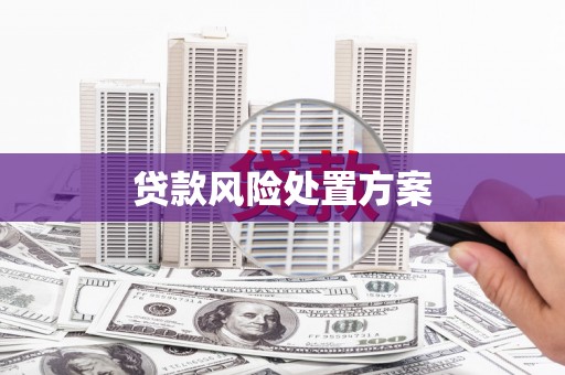 丰顺贷款风险处置方案