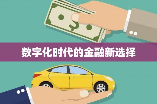 丰顺数字化时代的金融新选择