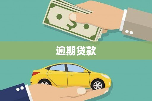 丰顺逾期贷款