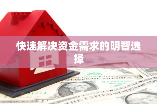 丰顺快速解决资金需求的明智选择