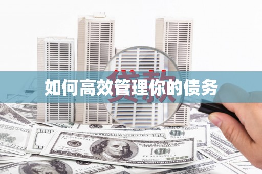 丰顺如何高效管理你的债务
