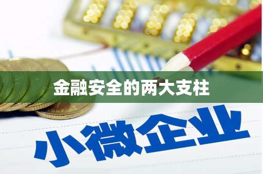 丰顺金融安全的两大支柱