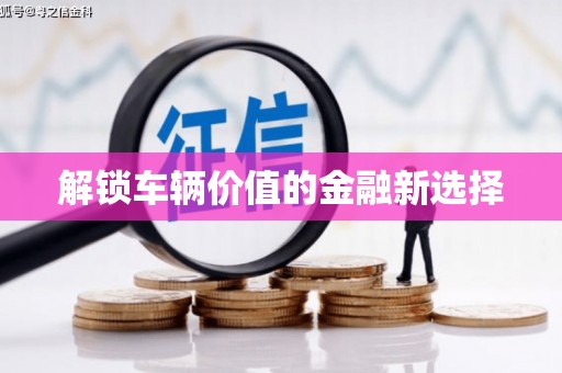 丰顺解锁车辆价值的金融新选择