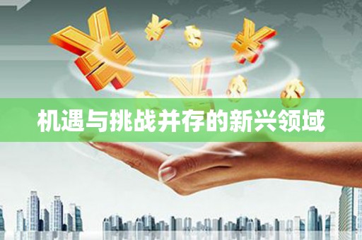 丰顺机遇与挑战并存的新兴领域