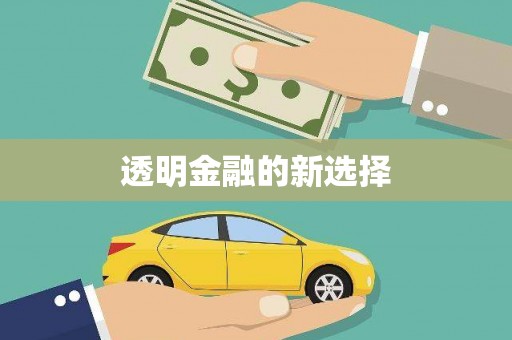 丰顺透明金融的新选择