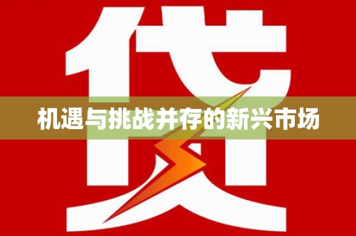 丰顺机遇与挑战并存的新兴市场
