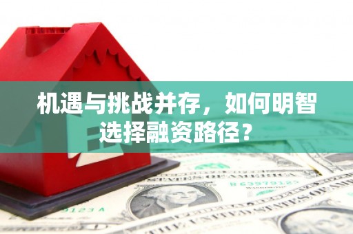 丰顺机遇与挑战并存，如何明智选择融资路径？